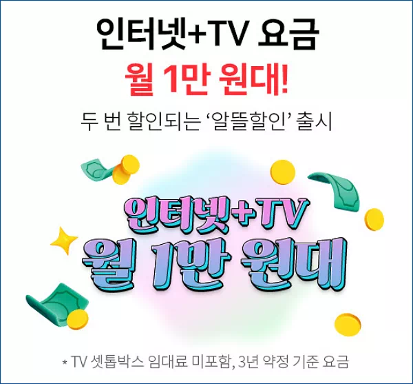 KT 인터넷 요금대