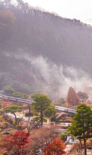 화담숲 예약 방법부터 운영시간까지! 방문 전 꼭 알아야 할 정보