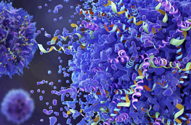 LC column 선택이 proteomics 결과를 바꾸는 구조