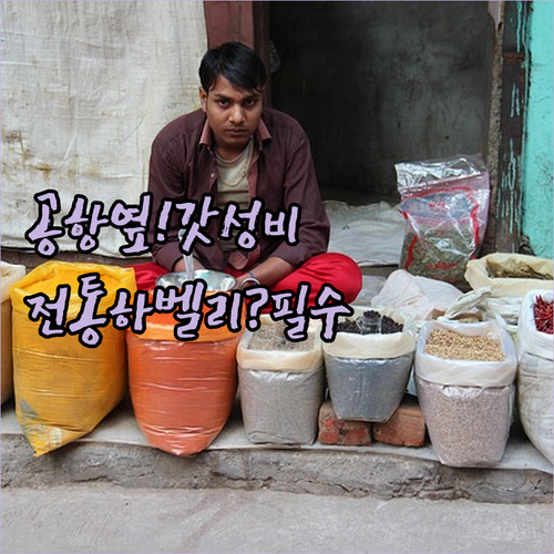 뉴델리 호텔 추천 공항 근처 숙소부터..
