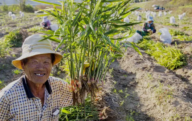 2026 공익직불금 신청 자격 완화 및 신청 기간 완벽 총정리