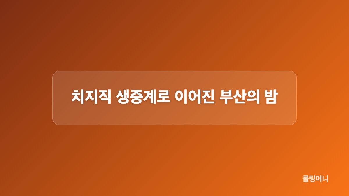 17팀 라인업과 특별 무대 구성