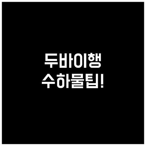 에미레이트항공 온라인체크인 두바이행 ..