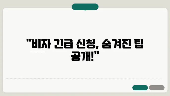 미국 비자 긴급 신청