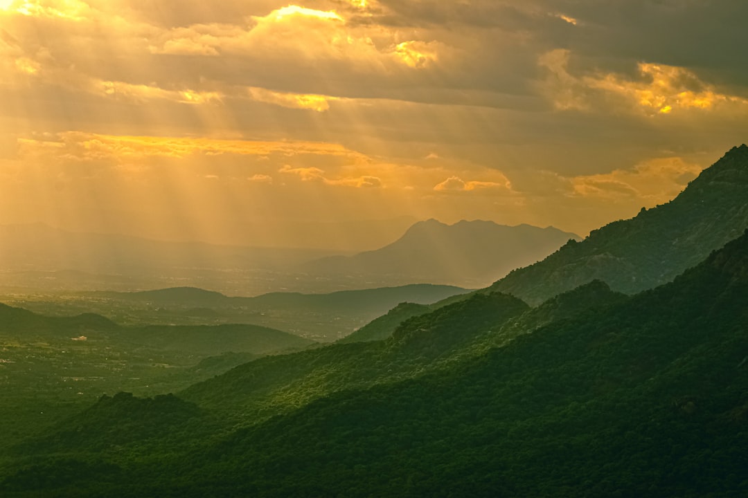 Sunlight