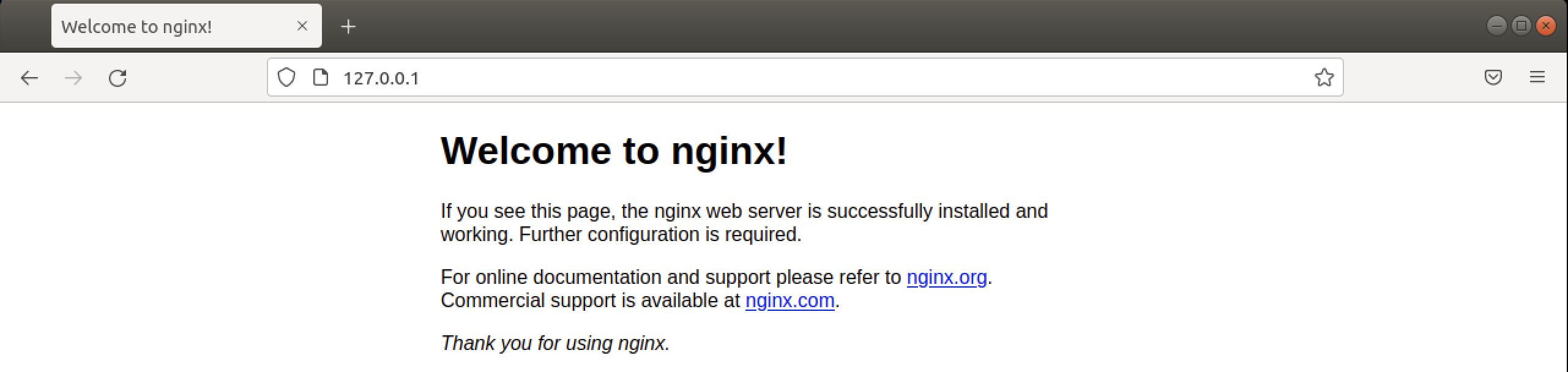 check nginx