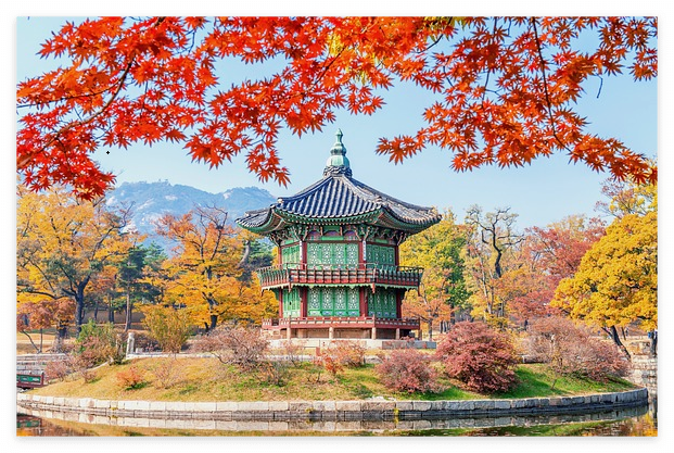 아름다운 가을 단풍