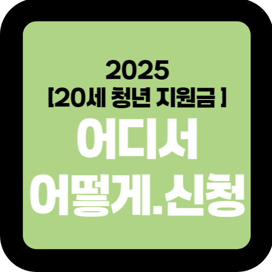 2025년 청년 지원금, 어디서 어떻게 신청할까