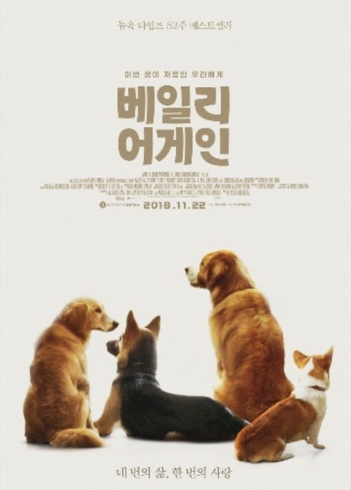 실화를 바탕으로 한 유기견과 인간의 감동 실화 영화 추천 리스트에 대한 사진