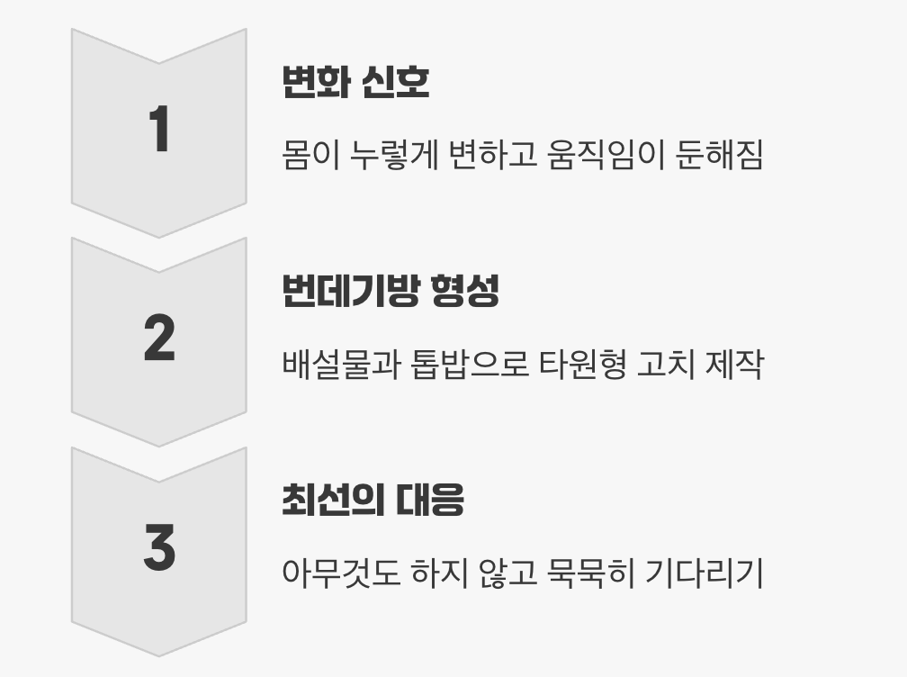 고요한 기다림&amp;#44; 변신을 위한 방