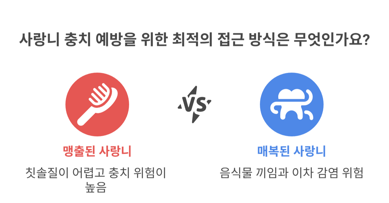 사랑니에 충치가 잘 생기는 이유