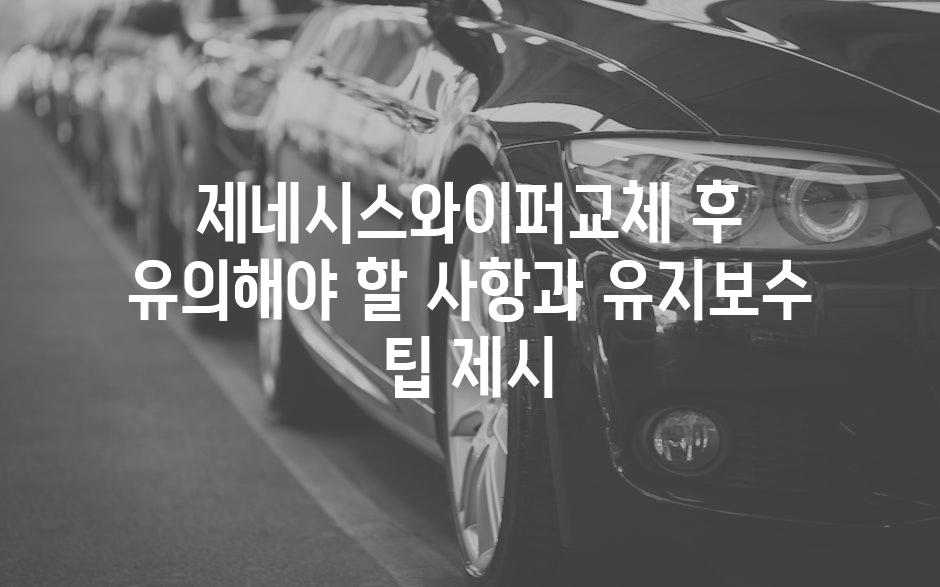 제네시스와이퍼교체 후 유의해야 할 사항과 유지보수 팁 제시