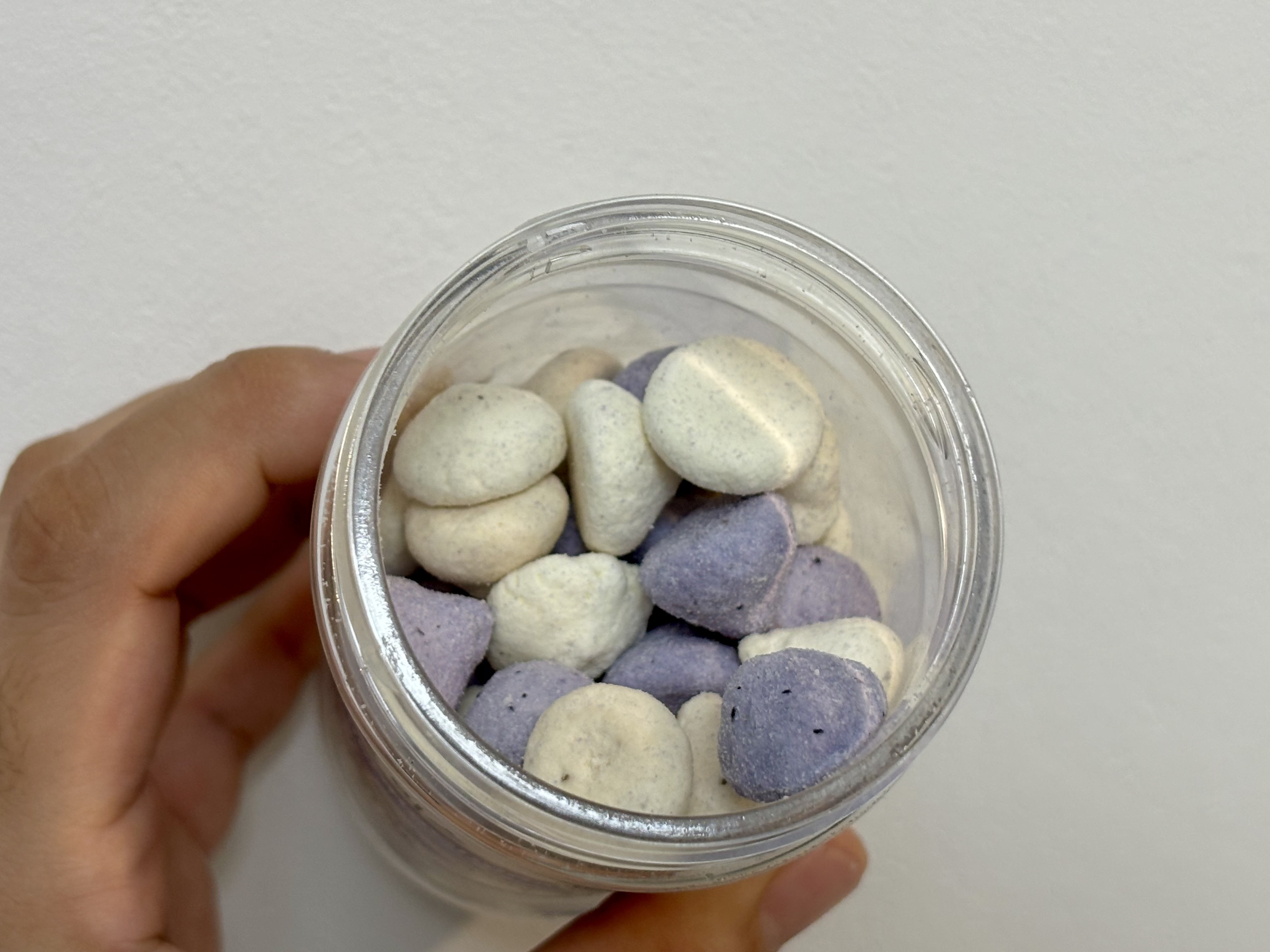 건강한펫 리코타치즈 믹스