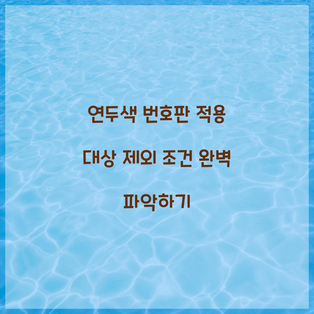 연두색 번호판 적용 대상 제외 조건