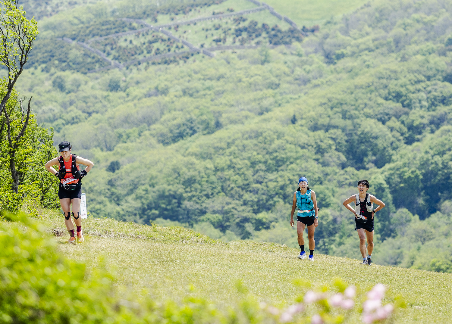 TNF100K
TNF100 GANWON 2025