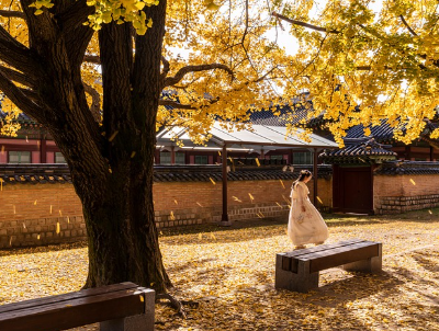 판소리의 세계, 언어 문화로서의 판소리