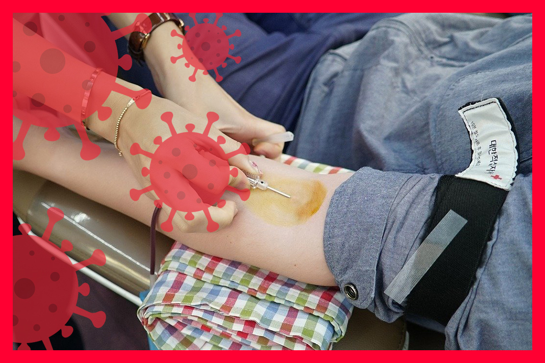 코로나_헌혈_완치후