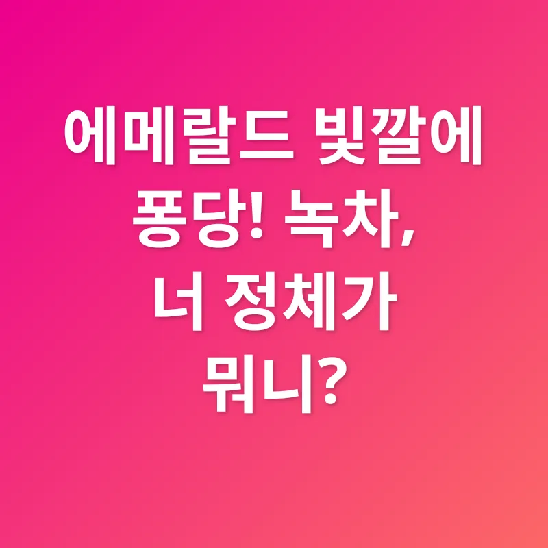 녹차의 재발견_1