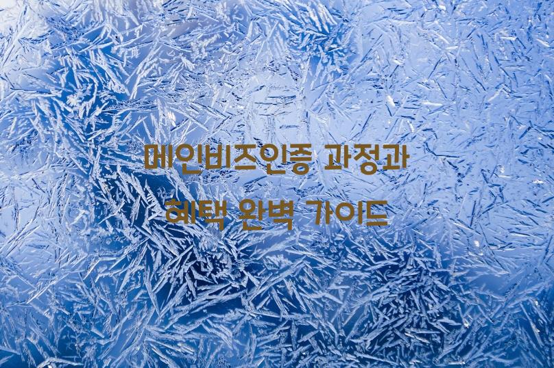 메인비즈인증