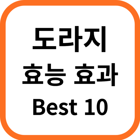 도라지 효능 효과 Best 10