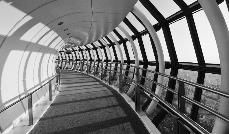 통일에 대한 열망