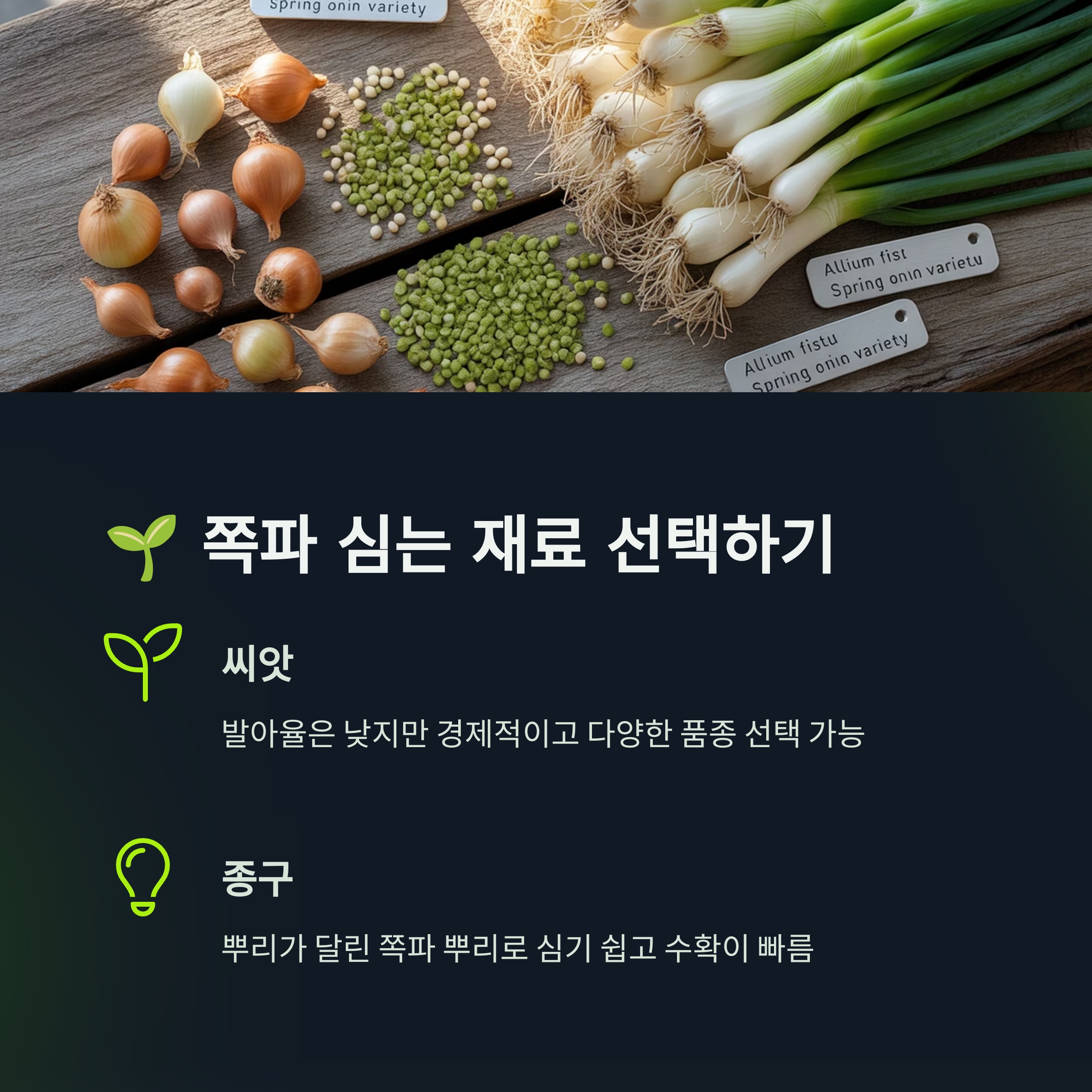 🌱 쪽파, 씨앗? 종자? 종구? 어떤 걸로 심을까요?