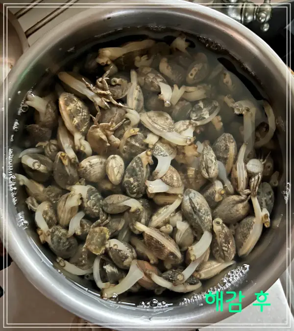 모시조개-해감-후