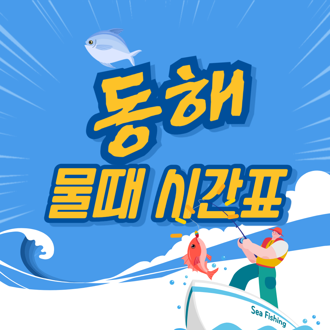 동해 바다 물때 시간표 확인 방법