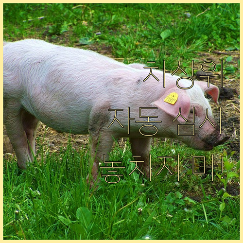 자동 심사로 쉬워진 차상위계층 조건:..