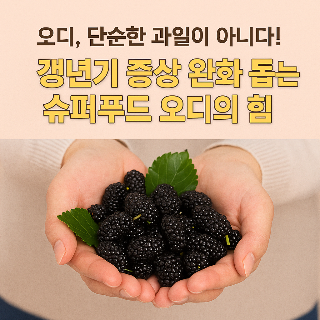 갱년기 증상 완화 돕는 슈퍼푸드 오디