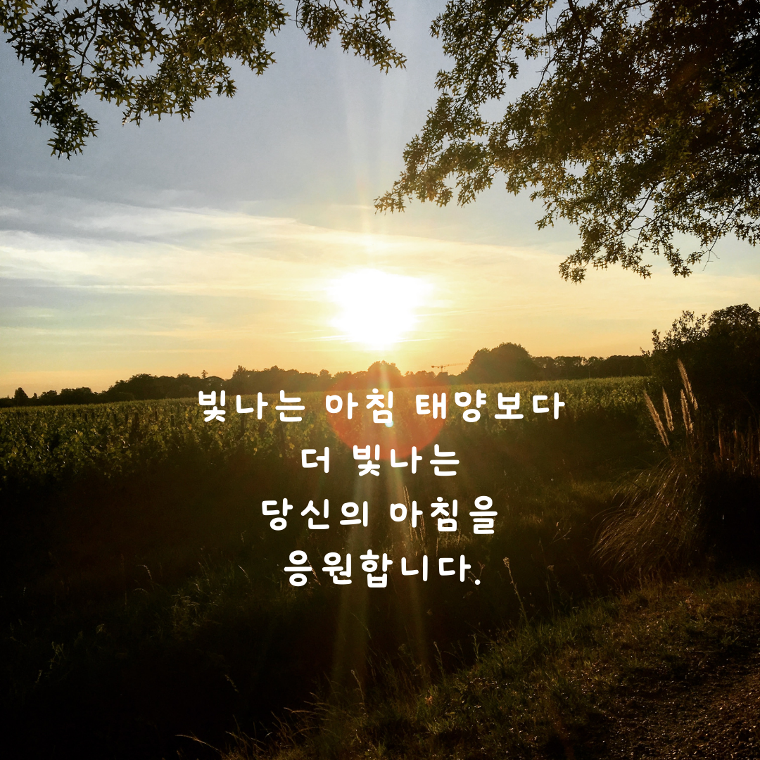 아침 인사로 좋은 글 모음 문구 이미지