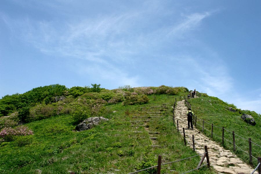 소백산 여름