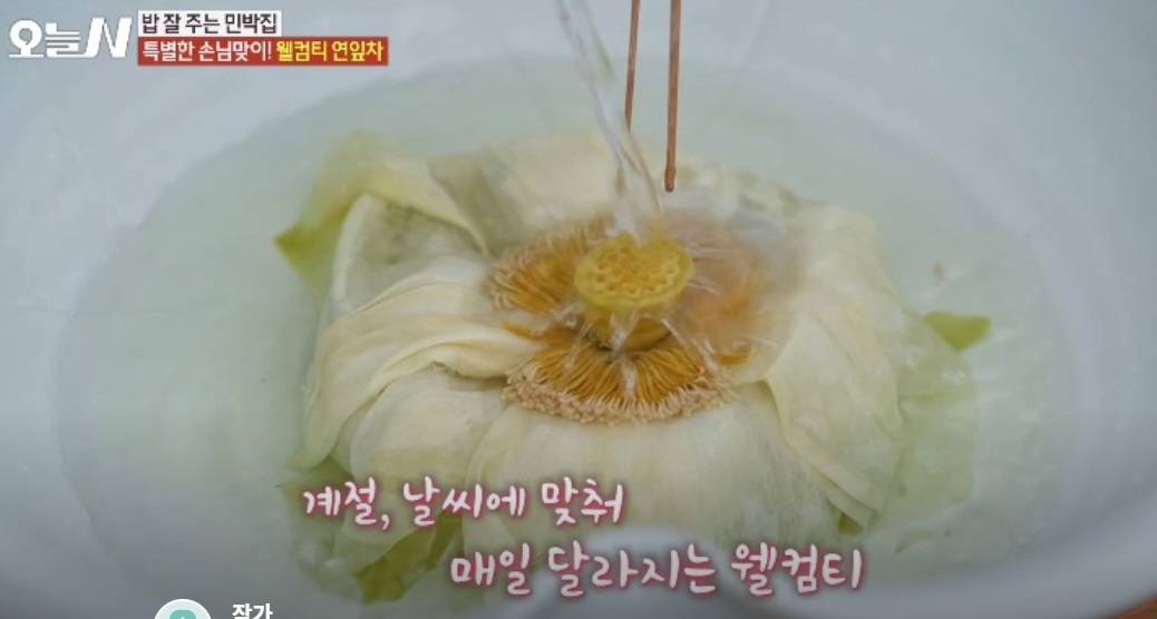 횡성-한옥차방-한옥민박-꽃차-예다원