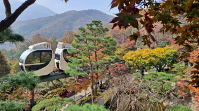 단풍명소_화담숲_모노레일