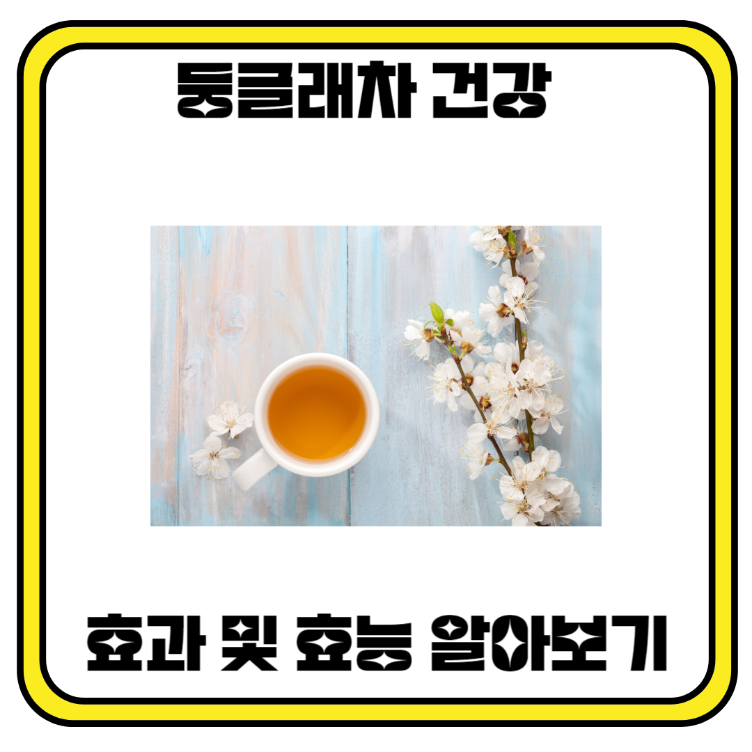 둥글래차의 건강 효과 및 효능