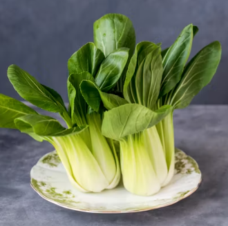 청경채 효능 부작용 고르는법 칼로리