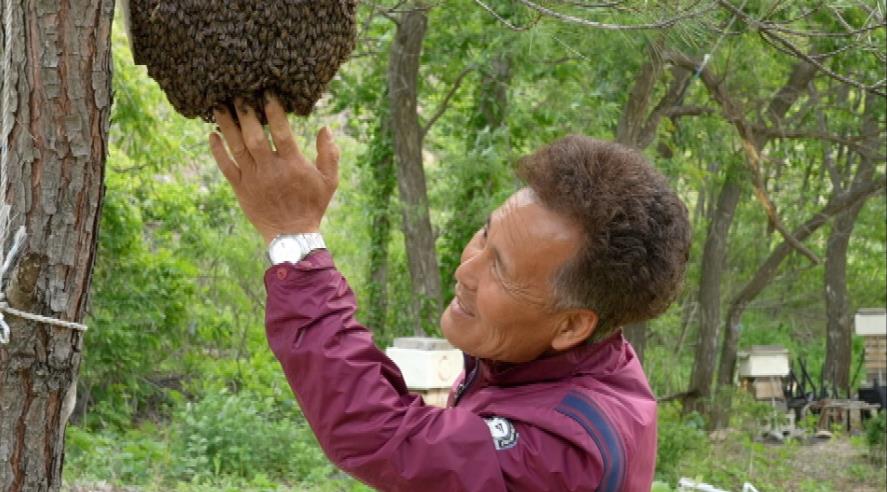 한국기행 토종꿀 김성진씨