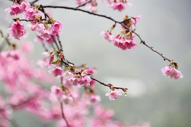원주 캄파슬로우 글램핑 캠핑 톰의 오두막 사용 후기 요약_2