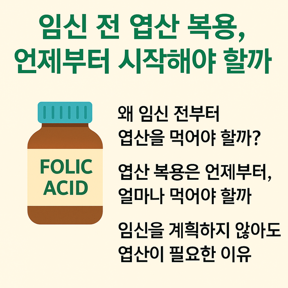임신 전 엽산 복용, 언제부터 시작해야 할까? 인포그래픽