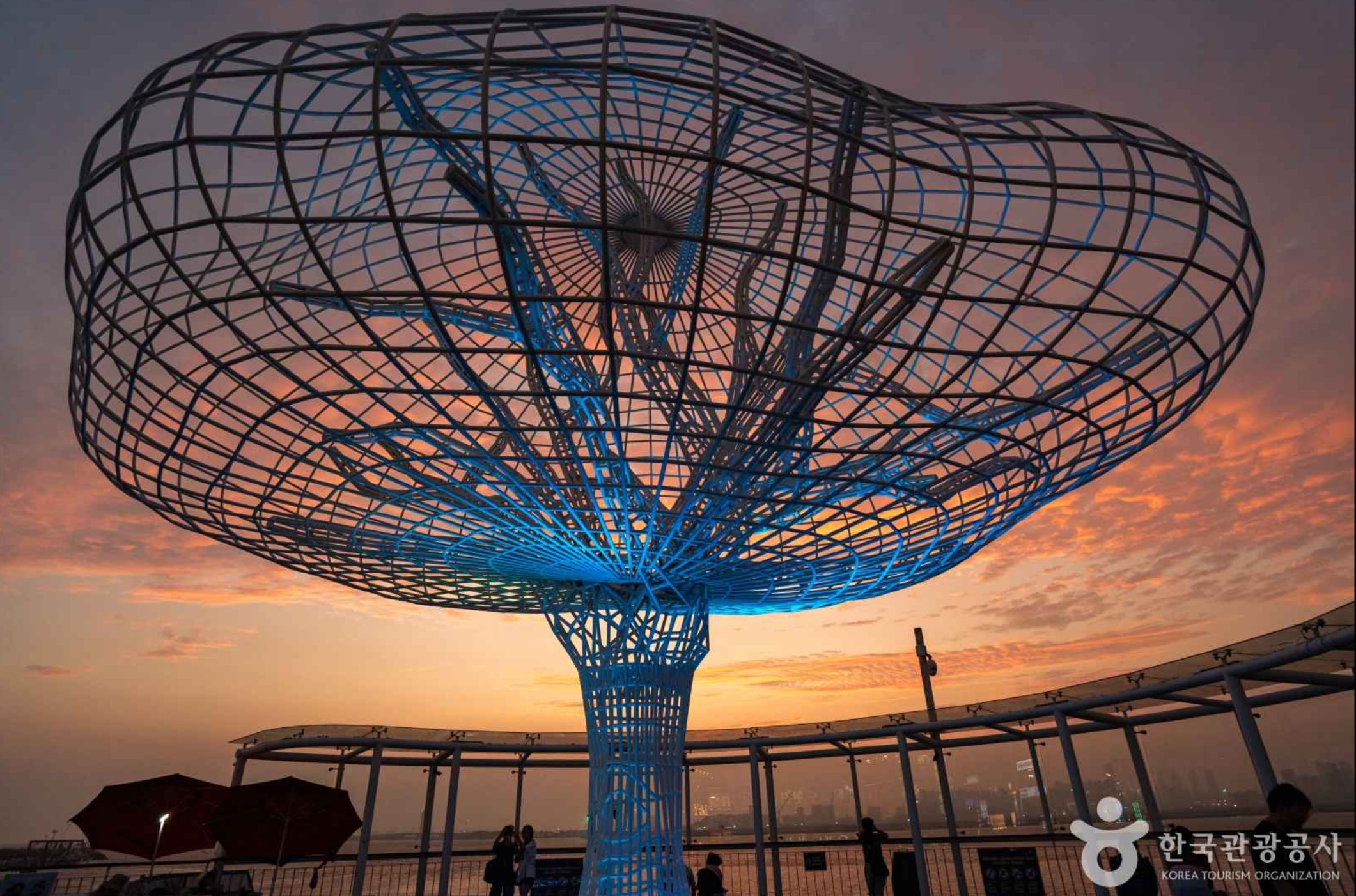 오이도-생명의-나무