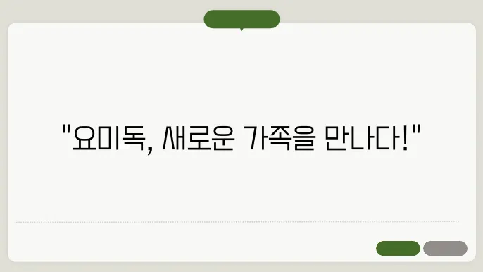 일산강아지무료분양 요미독