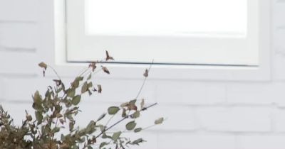 자궁내막증 초기증상