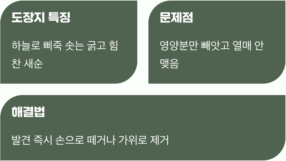 삐죽삐죽 솟는 새순, 두려워 마세요
