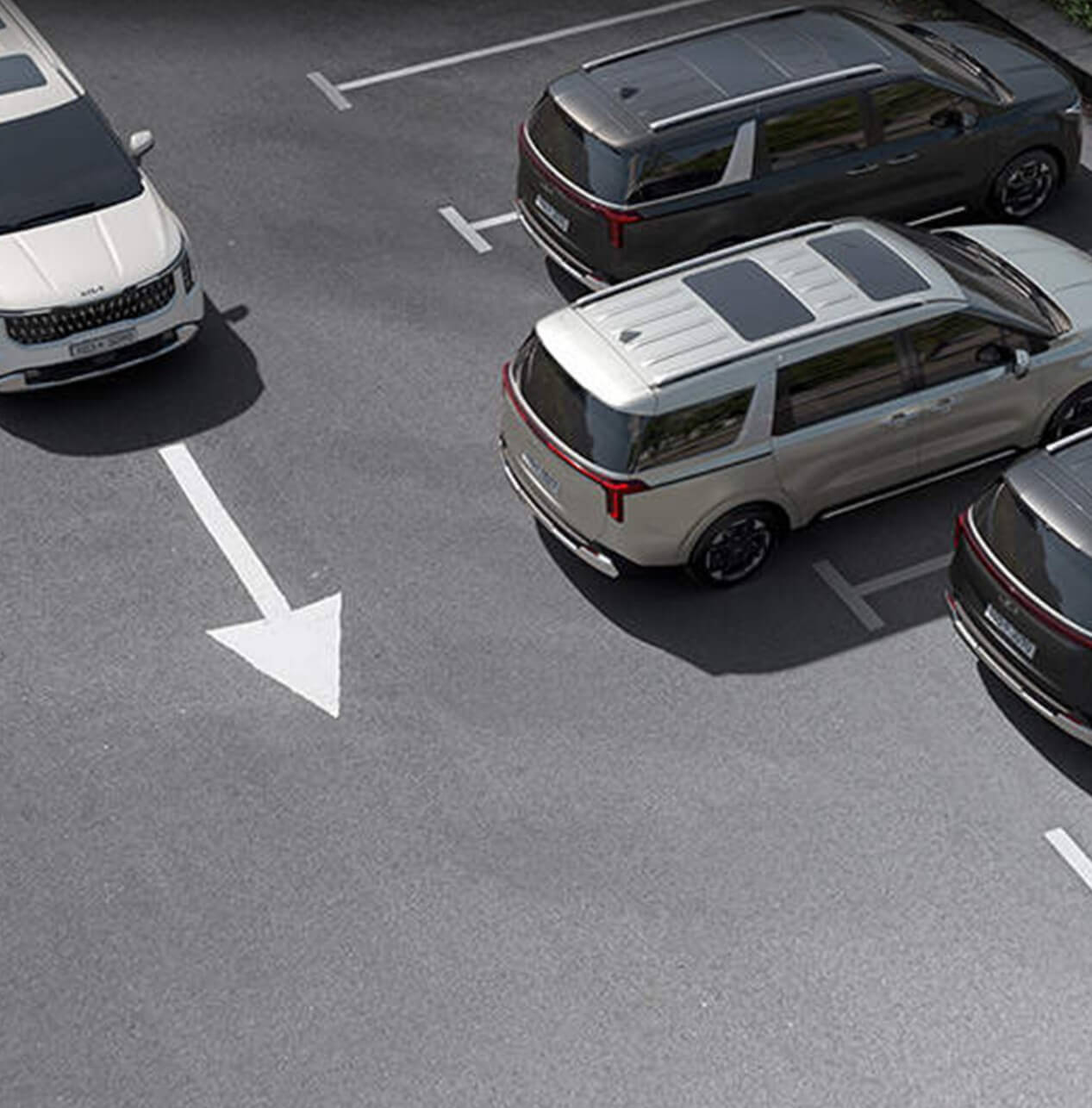 2025 기아 카니발 중고차 가격 시세표(신형)