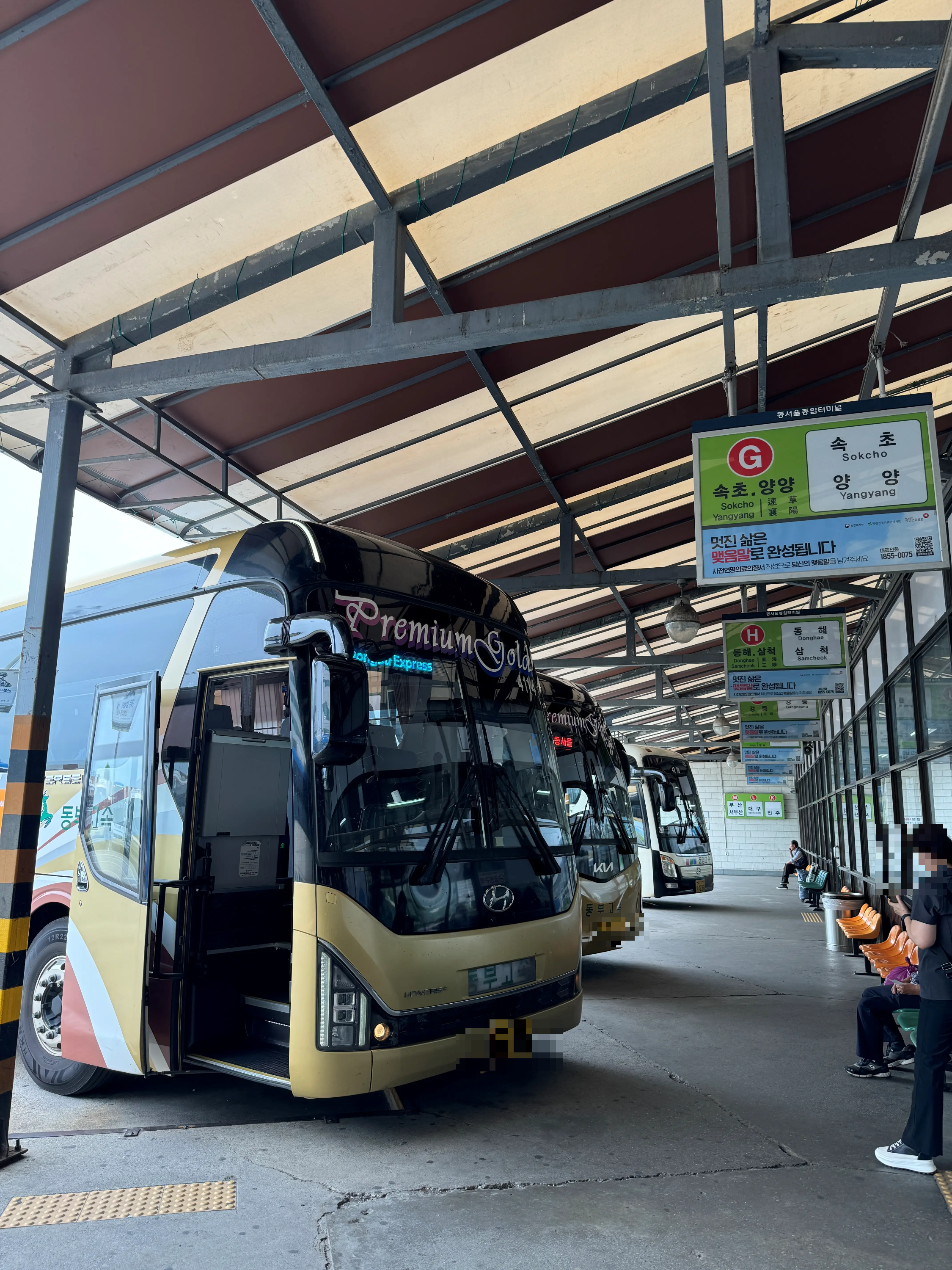 동서울-양양-프리미엄-고속버스-플랫폼