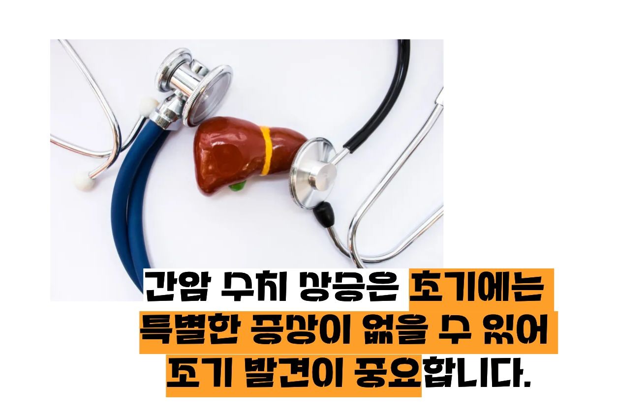 간암 수치 증가 조기발견이 중요한 이유 이미지