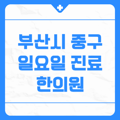 부산시 중구 일요일 진료 한의원