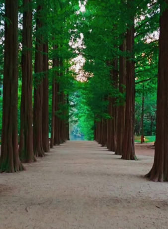 11월 국내여행지 추천 BEST 10