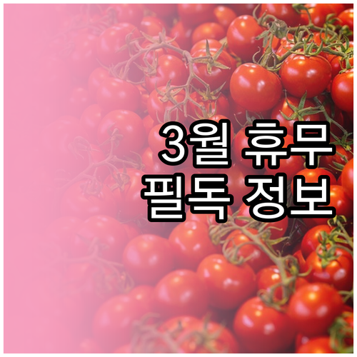 홈플러스 보령점 3월 정기 휴무일 운..