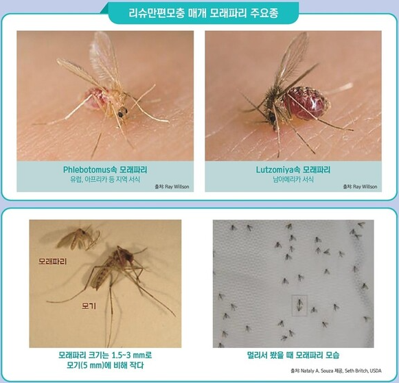 모기파리:질병관리청